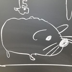 Meet your Posher, Carol